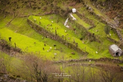 As cores de Inverno no Alvão - R5A4968