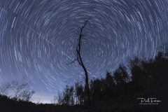 2021-03-17-00.59.04-1