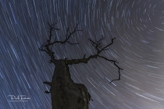 DSC6212_STARTRAIL