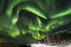 Aurora Boreal