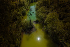DJI_0264