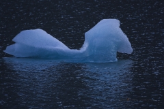 KX0B6882