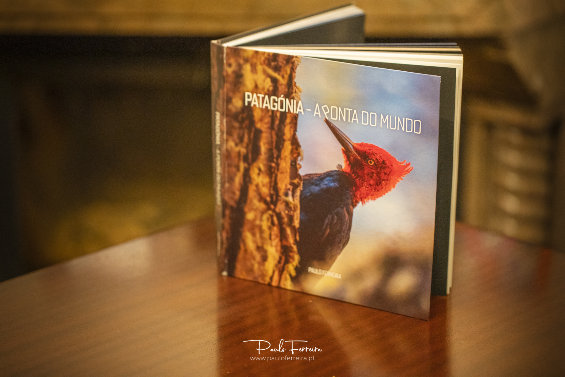 Livro - Patag&oacute;nia a ponta do mundo