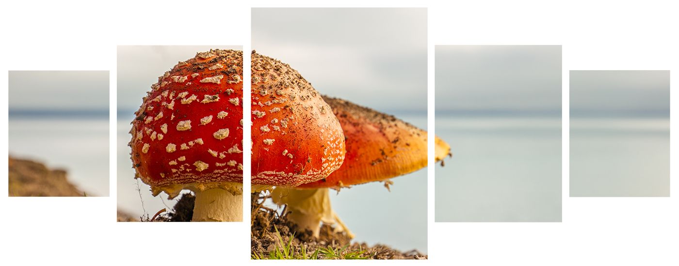 Nova Zelândia - Wanaka Tree