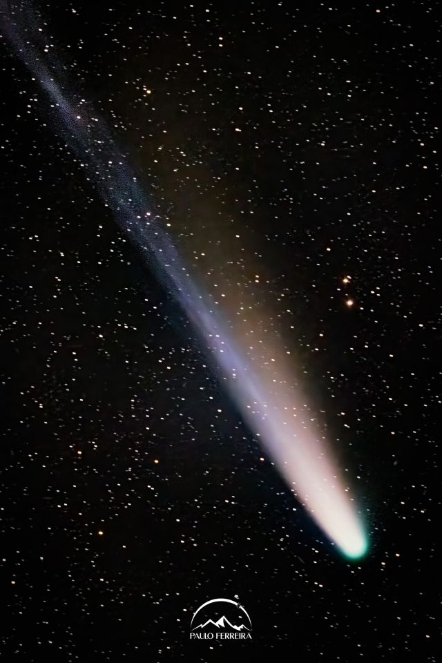 Cometa Lemmon